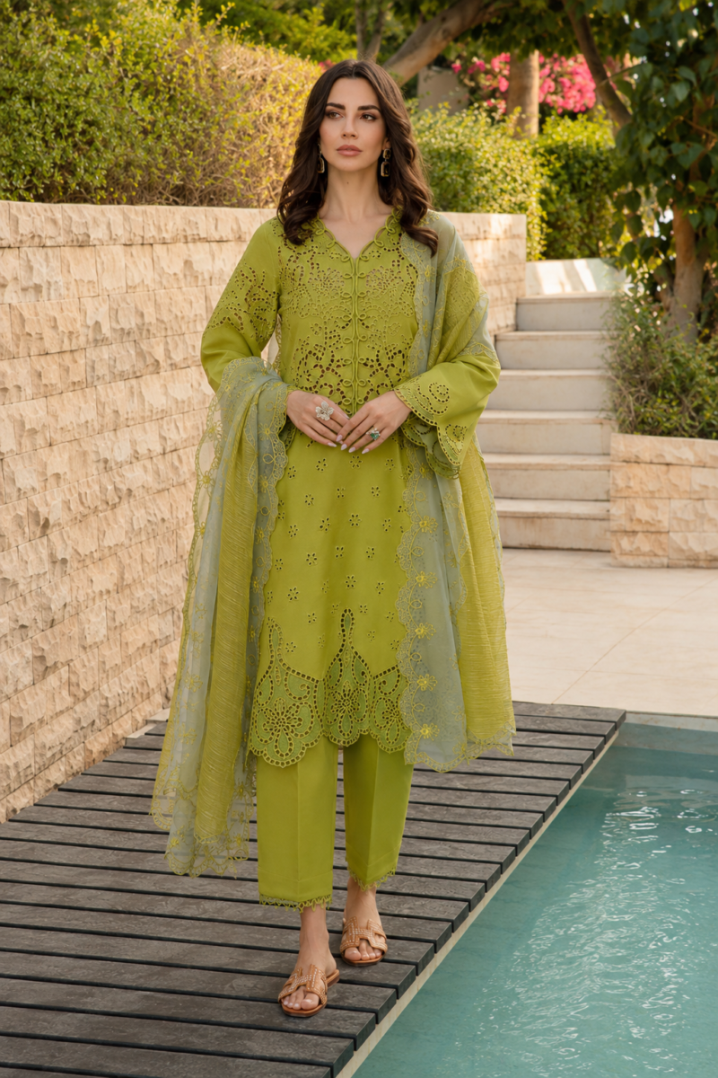 Elmira – Olive Chicken Kari Embroidered Lawn Suit | Hareeza